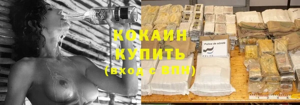крисы Баксан
