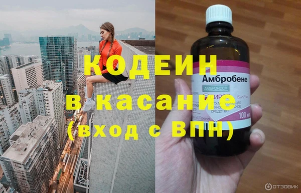 крисы Баксан