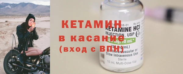 крисы Баксан
