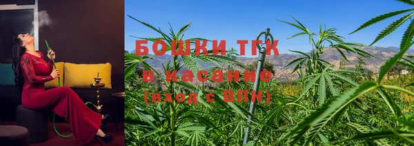 крисы Баксан
