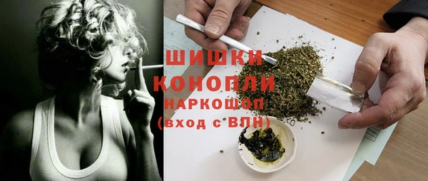 крисы Баксан